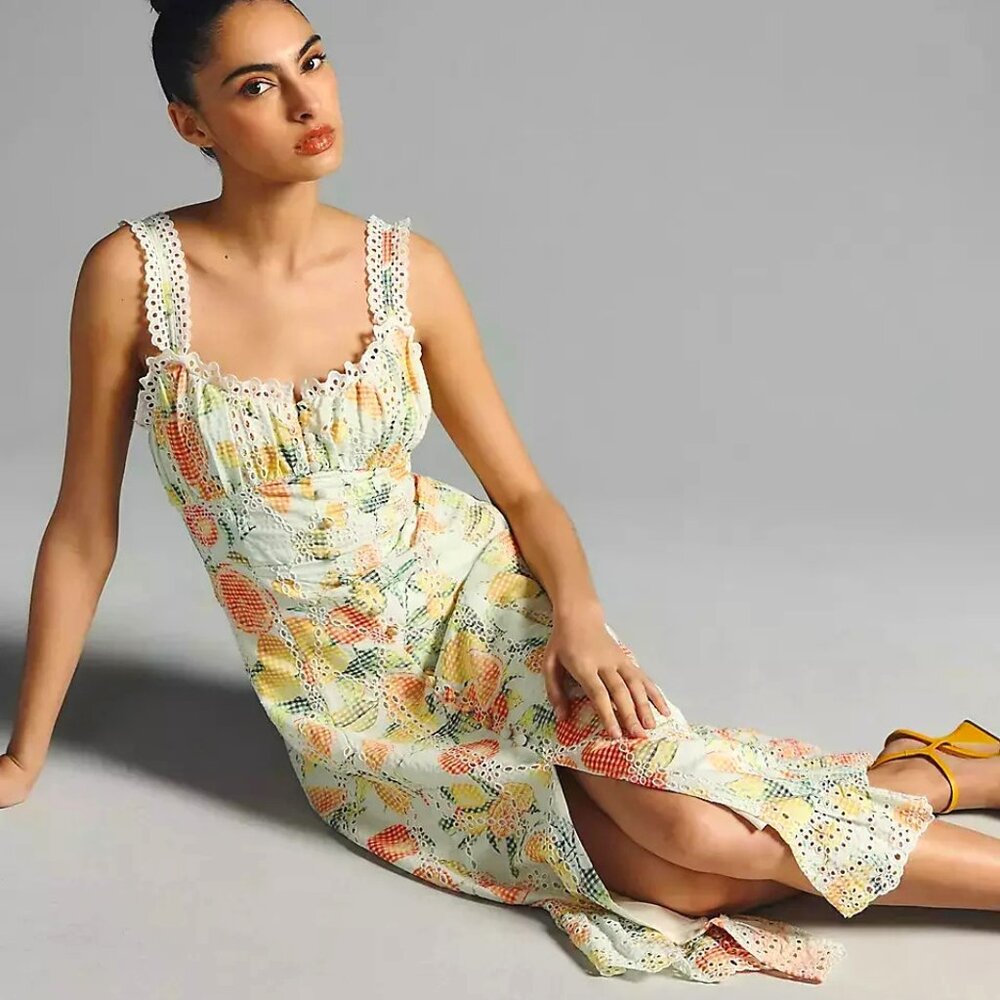 Anthropologie Dress NWT 3X